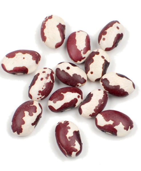 Anasazi Beans Bulk