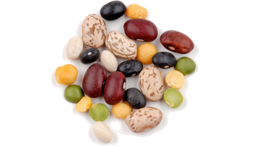 Gourmet Beans Bulk